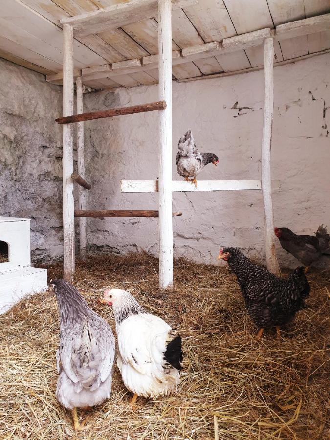 Die Alm In Schoellbuechl, Privatzimmer Sankt Martin  Exterior photo